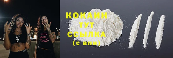 индика Абинск