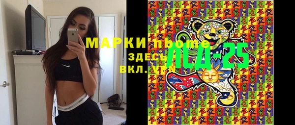 индика Абинск