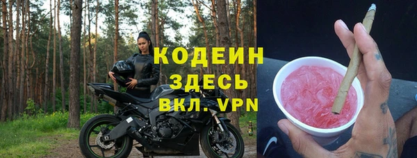 индика Абинск