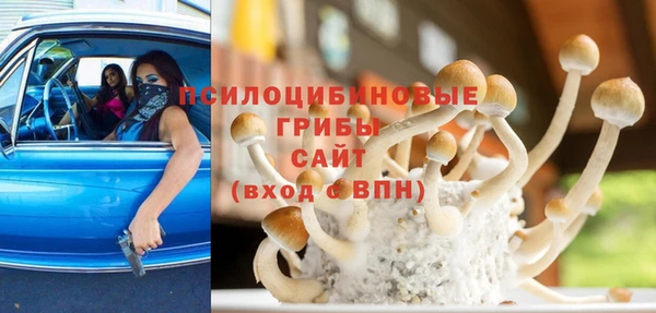 spice Абаза