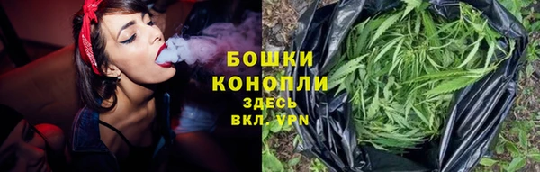 spice Абаза