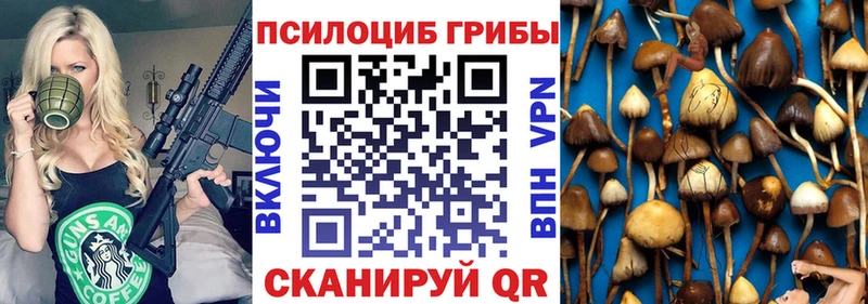 Псилоцибиновые грибы Magic Shrooms  МЕГА зеркало  Аксай  хочу наркоту 